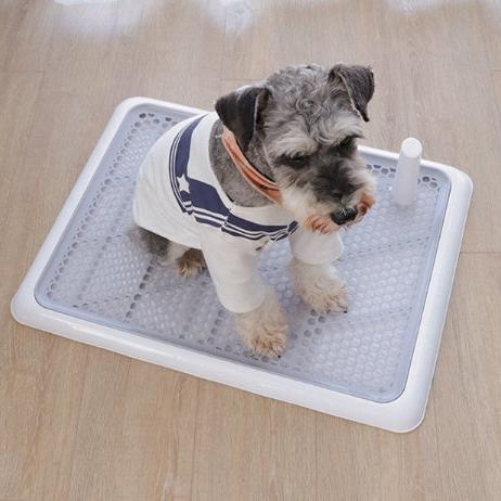 Dog Toilet Large Small Dog Automatic - Snoopy Doo