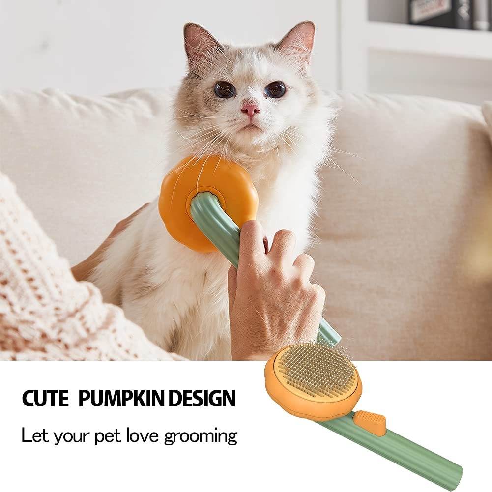 Pet Pumpkin Brush - Snoopy Doo